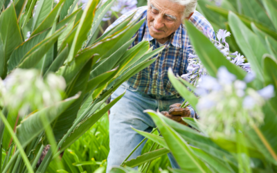 Aging Gracefully: The Benefits of Exercise for Seniors